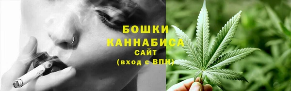 крисы Горно-Алтайск