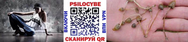 Псилоцибиновые грибы MAGIC MUSHROOMS  где можно купить   Новоаннинский 